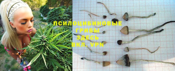 Альфа ПВП Арсеньев