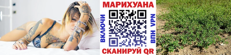Бошки Шишки план  Терек 